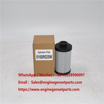 0160R025W υδραυλικό φίλτρο